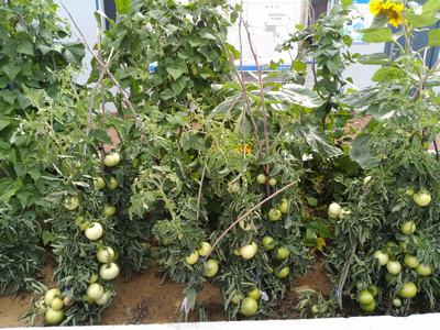 一份耕耘 一份收獲