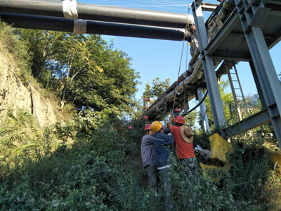 追趕超越，他們用行動爭做排頭兵