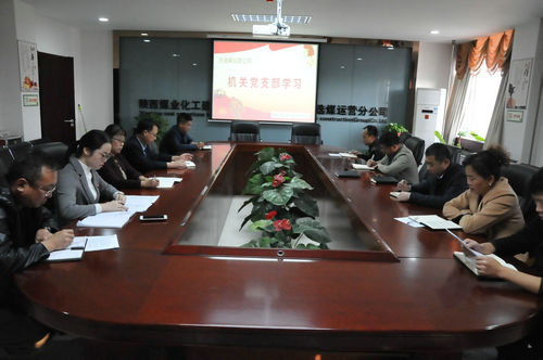 洗選煤運營公司：“四步驅(qū)動”十九大精神落地生根