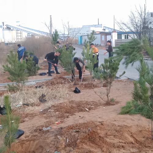 洗選煤運營公司洗煤廠： 開展“植樹造林美化家園”活動
