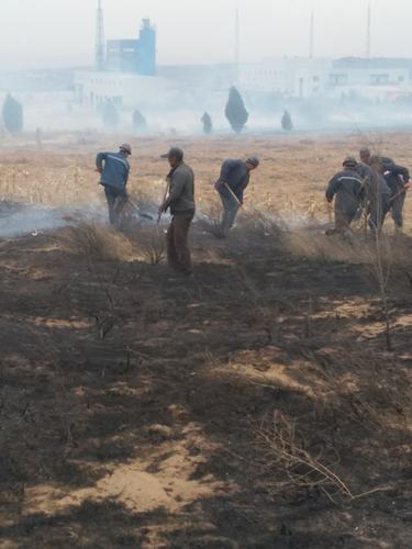 礦建二公司紅柳林項目部參與滅火“實戰” 山火被第一時間撲滅