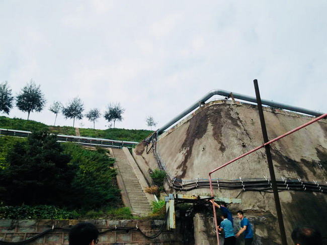 守護綠色可持續發展“新航線”