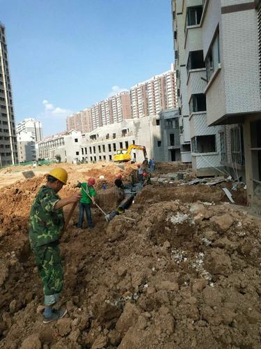 他們為再創銅煤新輝煌戰高溫、斗酷暑