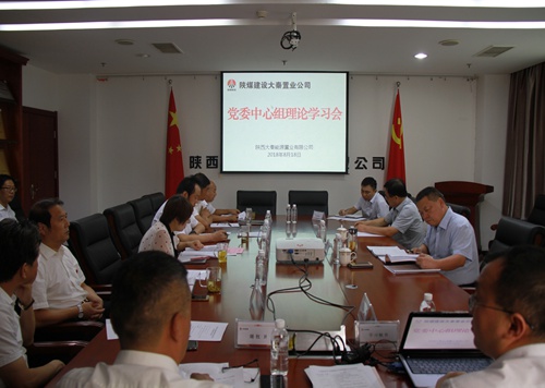 寧興剛旁聽督導大秦置業公司黨委中心組理論學習