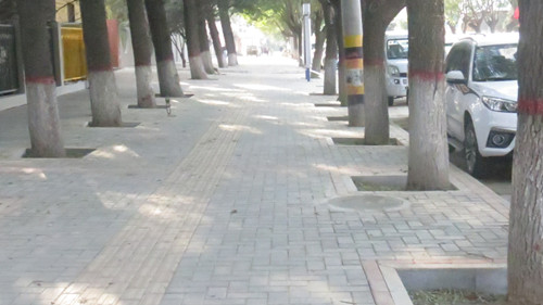 陜煤建設(shè)天工公司土建八部緊抓大慶路提升亮化工程 為蒲白成立六十周年獻(xiàn)禮