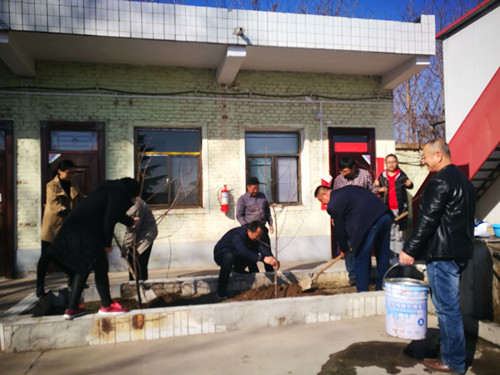 陜煤建設天工公司各項目部積極開展植樹活動 綠化施工環境