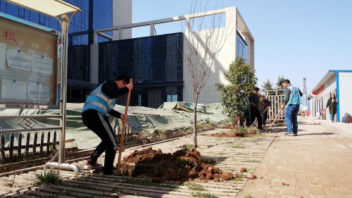 陜煤建設澄合分公司基層單位開展“植樹護綠，美麗家園”義務植樹活動