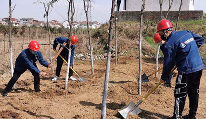 今天你植樹了嗎？