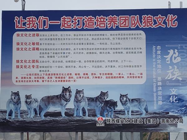 陜煤建設(shè)渭南分公司南京金龍項(xiàng)目部強(qiáng)堡壘 助發(fā)展