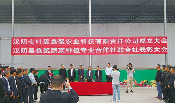 侯本英深入漢陰縣開展座談慰問活動