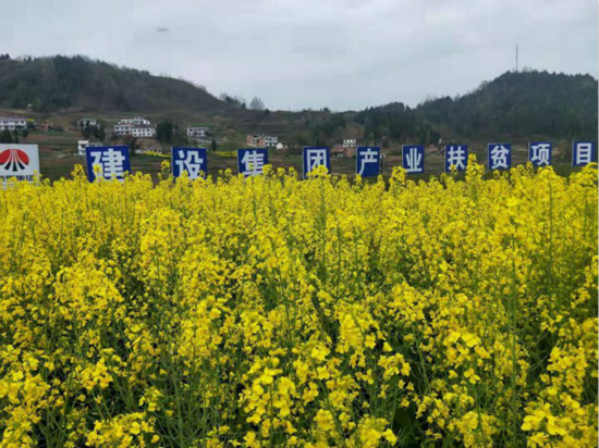 公司領(lǐng)導(dǎo)寧興剛、侯本英到扶貧定點(diǎn)幫扶村看望慰問困難群眾