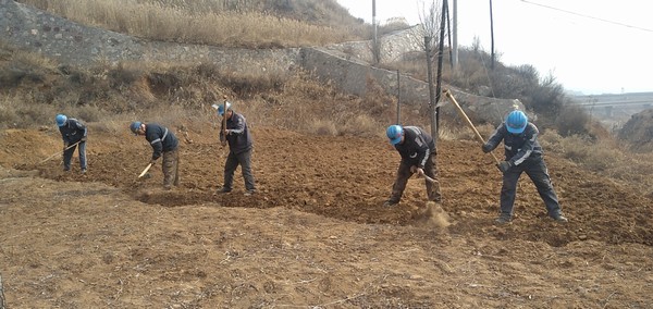 陜煤建設洗選煤運營公司左權洗煤廠項目部：春耕“小菜園”，播種幸福感