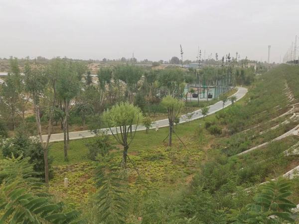 陜煤建設(shè)銅煤公司第八項目部承建的靖神鐵路站區(qū)景觀綠化工程順利通過竣工驗收