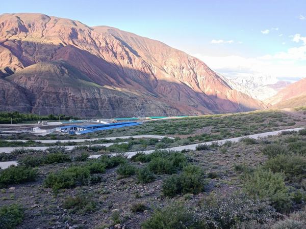 陜煤建設(shè)設(shè)計研究院赴西藏做好仿生態(tài)藏香豬養(yǎng)殖項目現(xiàn)場跟蹤服務(wù)