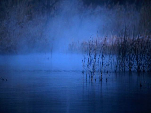 “冬月”你好！