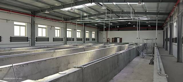 陜煤建設韓城分公司:年終歲末,西藏喜訊接踵而至!