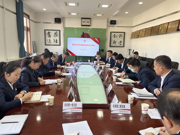 陜煤建設(shè)銅煤公司:升級黨建一體矩陣 賦能生產(chǎn)經(jīng)營融合提升