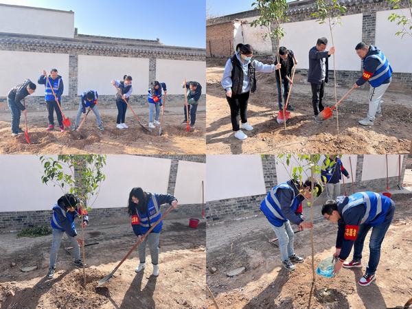 陜煤建設韓城分公司土建四項目部：栽種綠色希望，不負青春時光