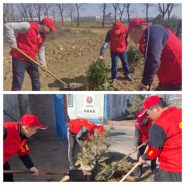 陜煤建設澄合分公司發揮黨建動力為項目工地添綠意