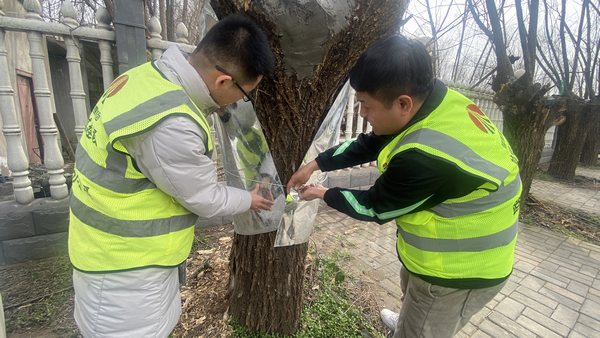 陜煤建設(shè)路橋分公司渭南項目部開展“綠色修復(fù),生態(tài)共贏”別樣植樹節(jié)活動