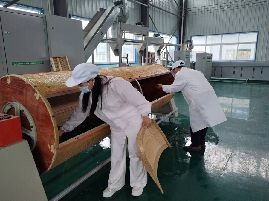 陜煤建設定點幫扶村:“天池大碗茶”促進產業發展正循環