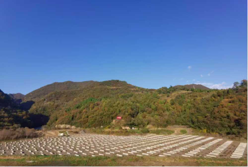 抓安全 保質量 搶進度 漢中分公司全力推進重點項目建設