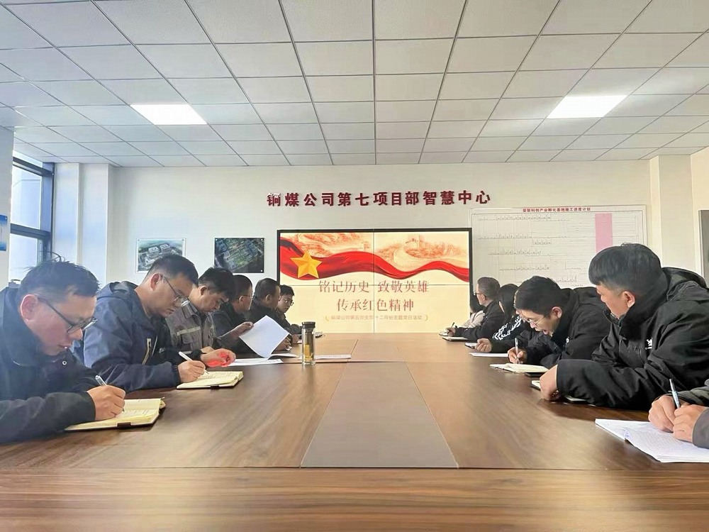 看!這個“主題黨日”有聲有色!