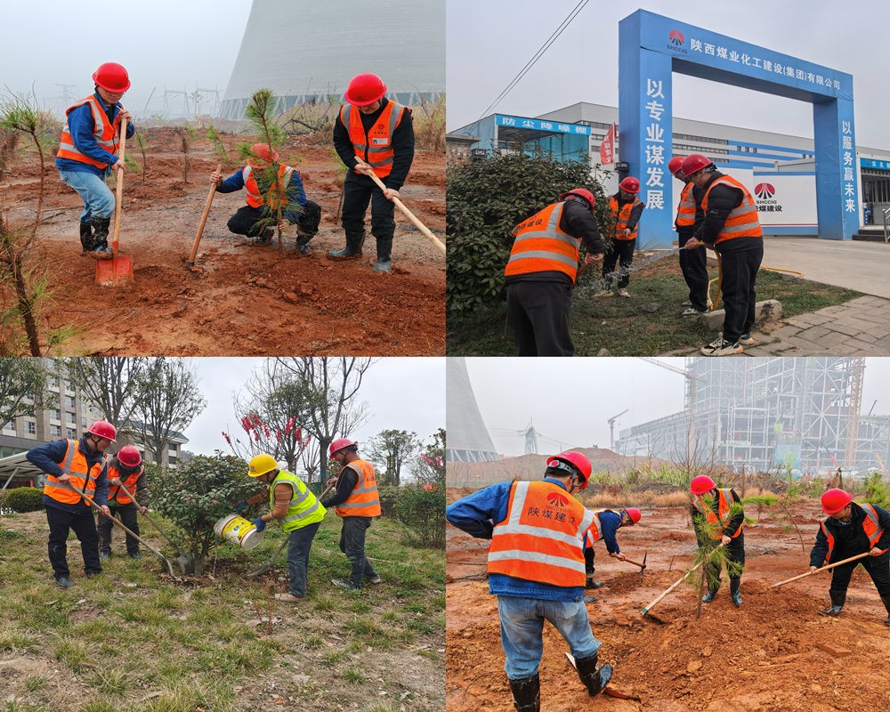 陜煤建設漢中分公司：為工地添綠 為環保賦能