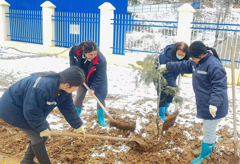 陜煤建設礦建三公司：巾幗添綠綻芳華，共筑生態新環境