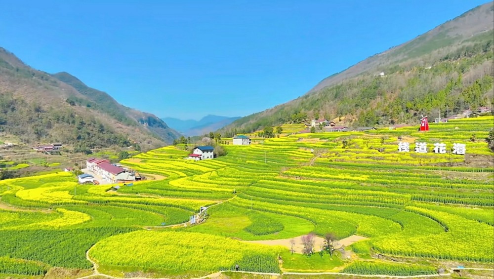 陜煤建設(shè)漢中分公司:花海盛景中綻放企業(yè)風(fēng)采