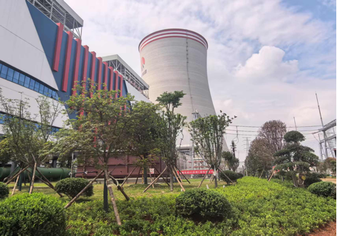 陜煤建設西北分公司：綠意盎然入電廠，生態建設譜新章