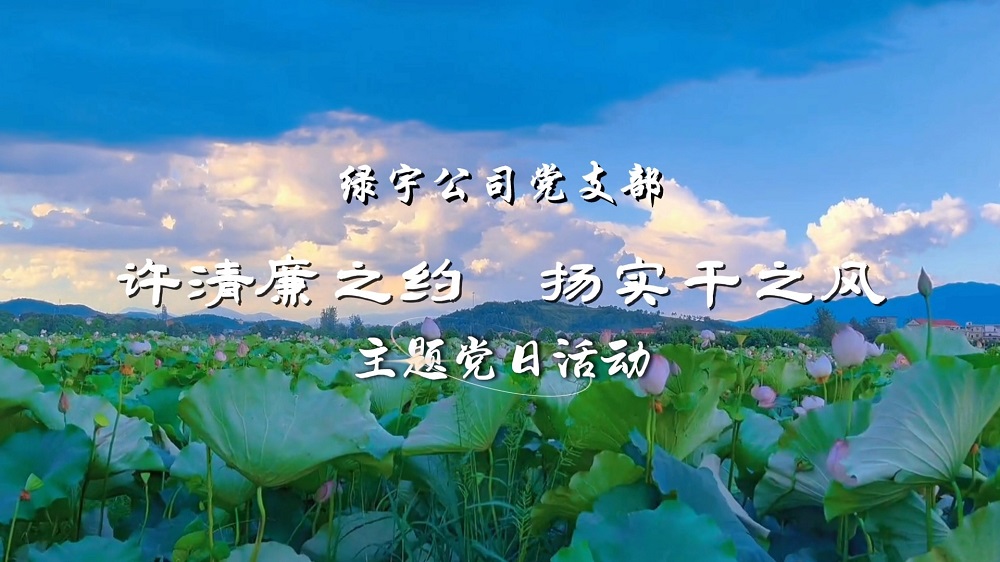 許清廉之約  揚(yáng)實(shí)干之風(fēng)——綠宇公司黨支部主題黨日活動