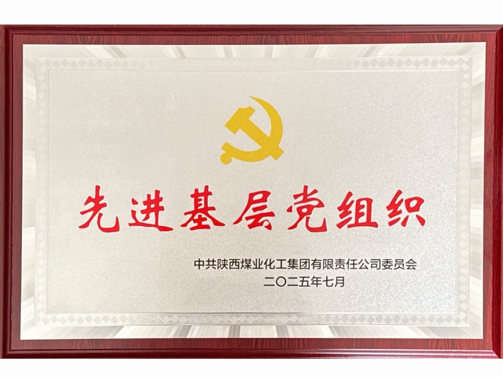 黨建領航結碩果 實干擔當譜新篇