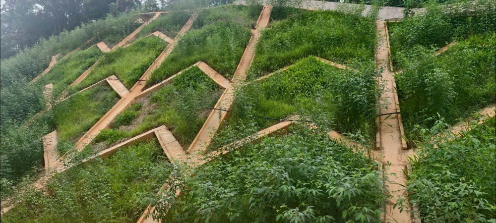 陜煤建設西北分公司：長安益陽發(fā)電有限公司2×100萬千瓦擴能升級改造項目 高邊坡支護工程順利通過竣工驗收