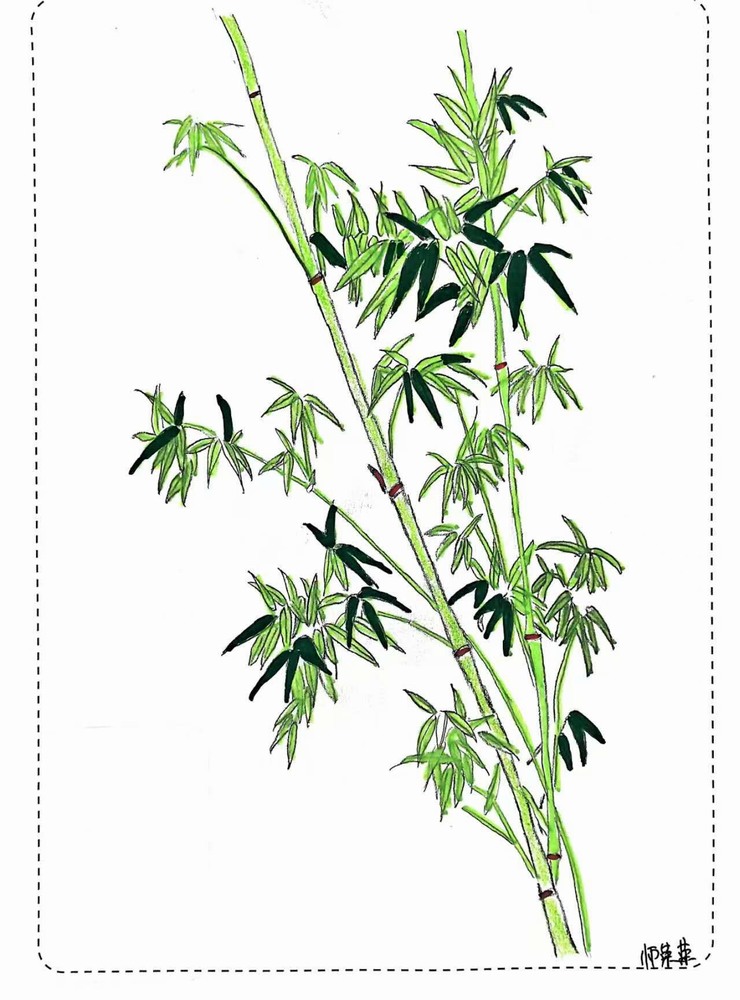 漫說廉潔!這組“草木廉盟”太可了