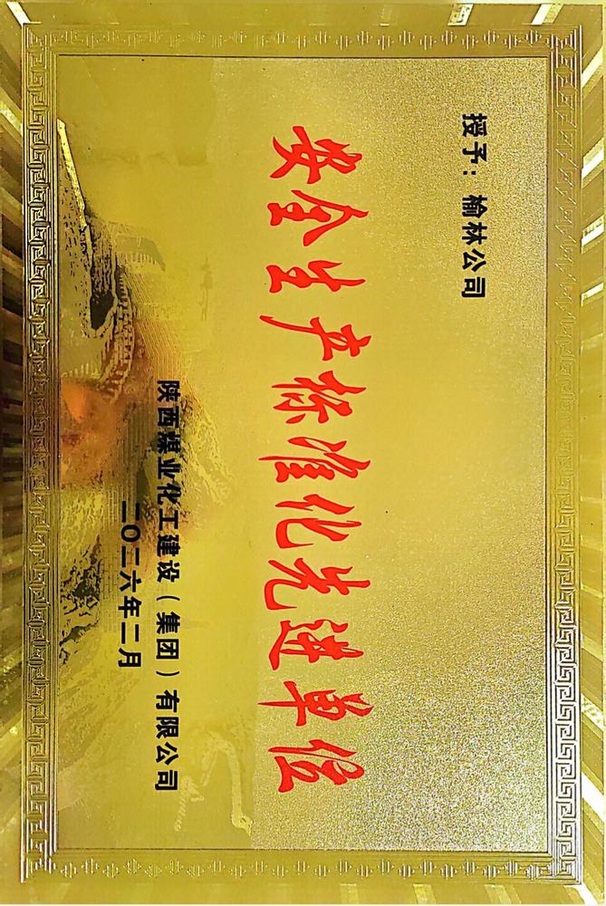 喜獲殊榮樹標桿  安全護航促發展