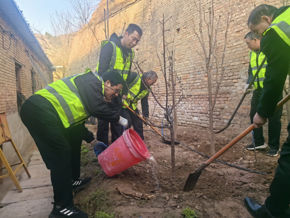 植綠護(hù)綠當(dāng)先鋒 綠水青山踐初心